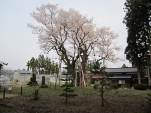 daimyojin2