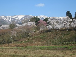 miyoshi