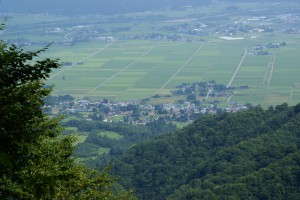 SONY DSC